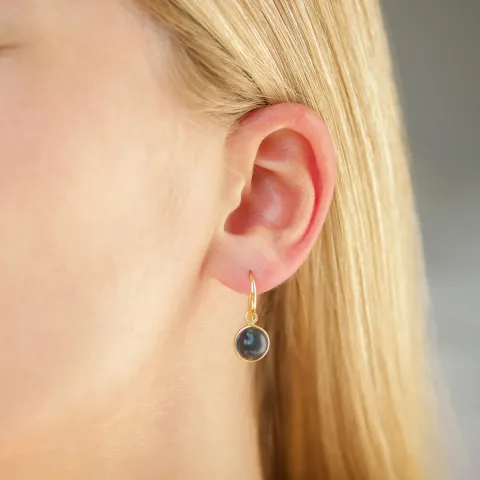 mörkblå kristal örhängen i förgyllt silver