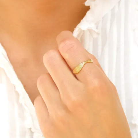 ring i förgylld mässing