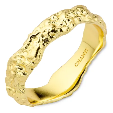 ring i förgylld mässing