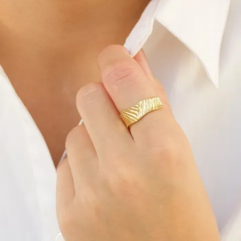 ring i förgylld mässing - Eliné