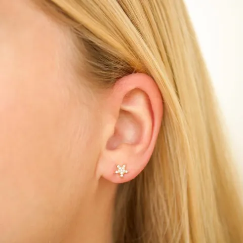 stjärna zirkon örhängen i förgylld mässing - Eliné