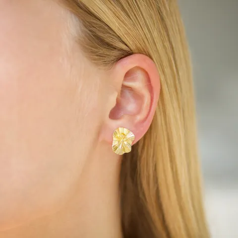 örhängen i förgylld mässing - Eliné