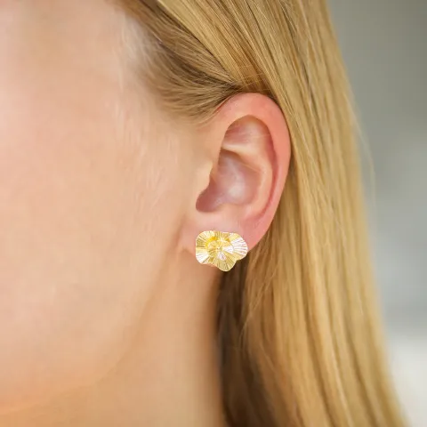 örhängen i förgylld mässing - Eliné