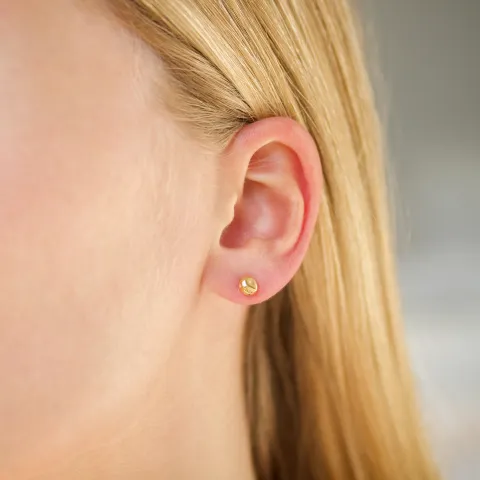 5 mm vattentät örhängestift i förgyllt stål - OCEANA