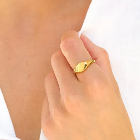 vattentät ring i förgyllt stål - OCEANA