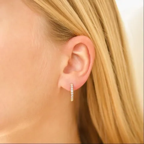 17 mm vattentät zirkon creol i förgyllt stål - OCEANA