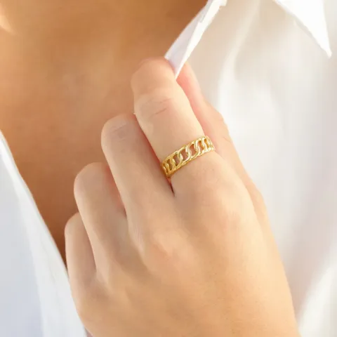 vattentät panzer justerbar ring i förgyllt stål - OCEANA