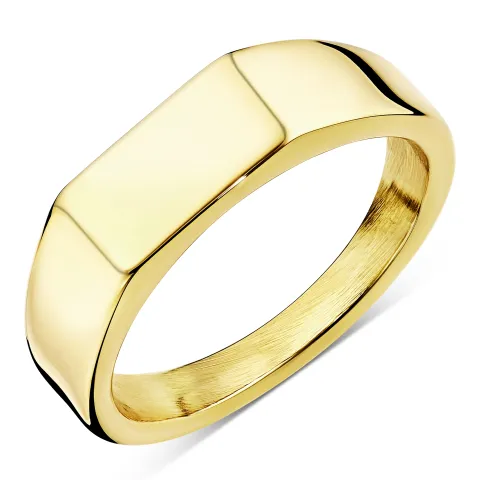 vattentät ring i förgyllt stål