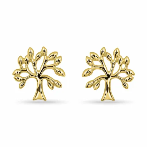 livets träd örhängestift i förgyllt silver