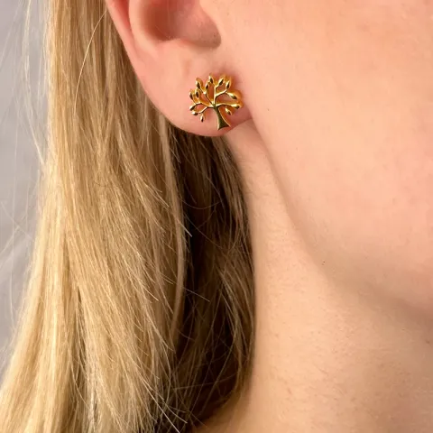 livets träd örhängestift i förgyllt silver