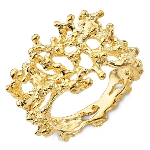 ring i förgyllt silver