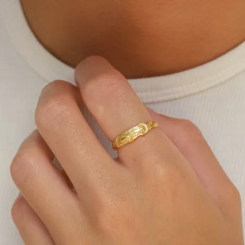 ring i förgyllt silver