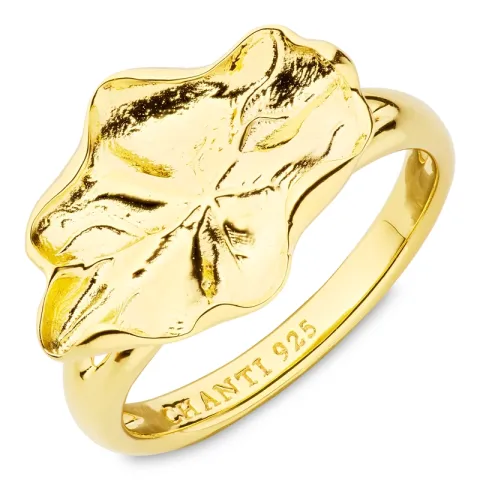 ring i förgyllt silver