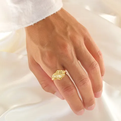 ring i förgyllt silver