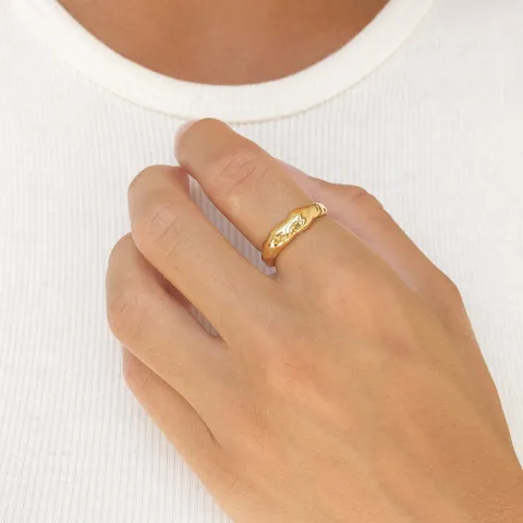 ring i förgyllt silver