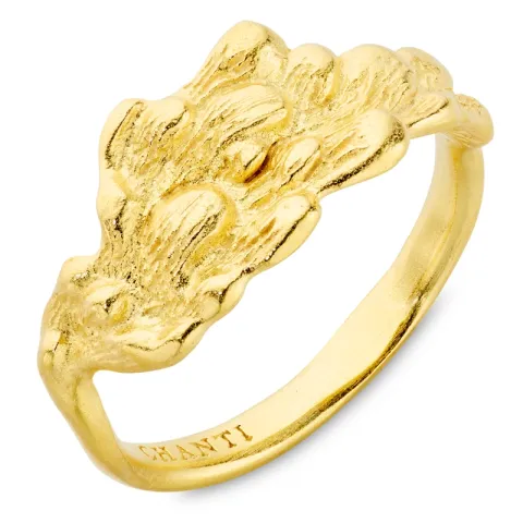 ring i förgylld mässing - Eliné