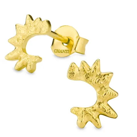 örhängen i förgylld mässing - Eliné