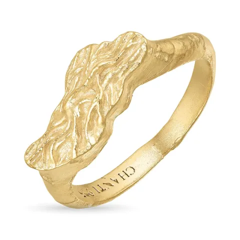 ring i förgylld mässing - Eliné