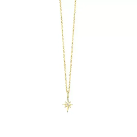 ID Fine IDN018GD Guiding Star halsband i förgyllt silver vit zirkon