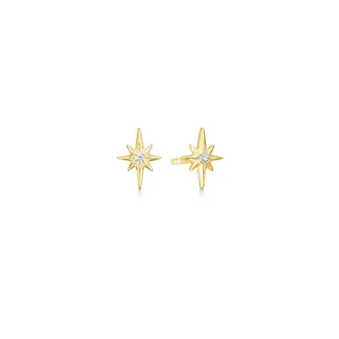 ID Fine IDS032GD Guiding Star örhängen i förgyllt silver vit zirkon