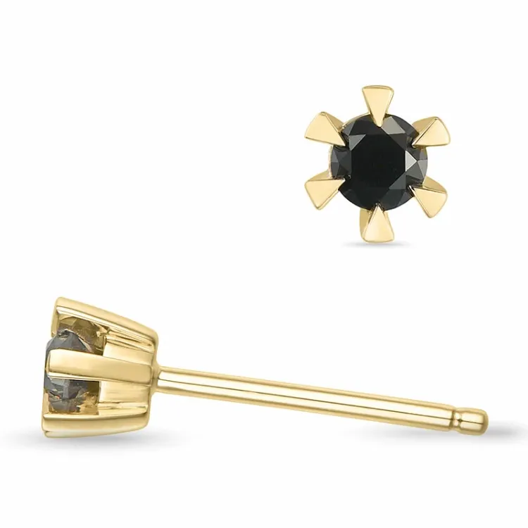 2 x 0,10 ct svarta diamant solitäreörhängestift i 14 karat guld med svart diamant