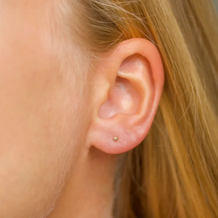 2 mm kula örhängestift i 14 karat guld - Gold Collection
