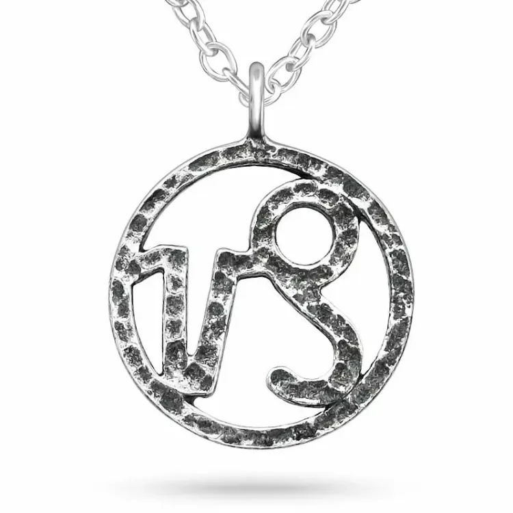 Stjärnteck stenbocken halsband i silver med hängen i silver