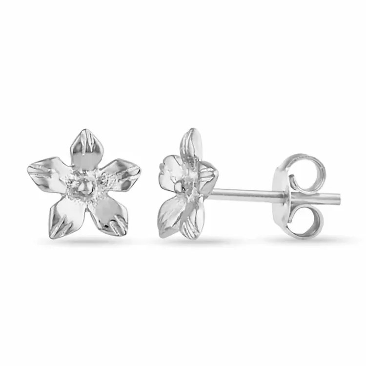 blommor örhängestift i silver - Pure Nature