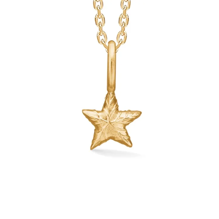 Studio Z Shiny Star halsband i förgyllt silver