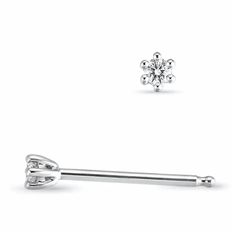 2 x 0,03 ct solitäreörhängestift i 14 karat vitguld med diamant