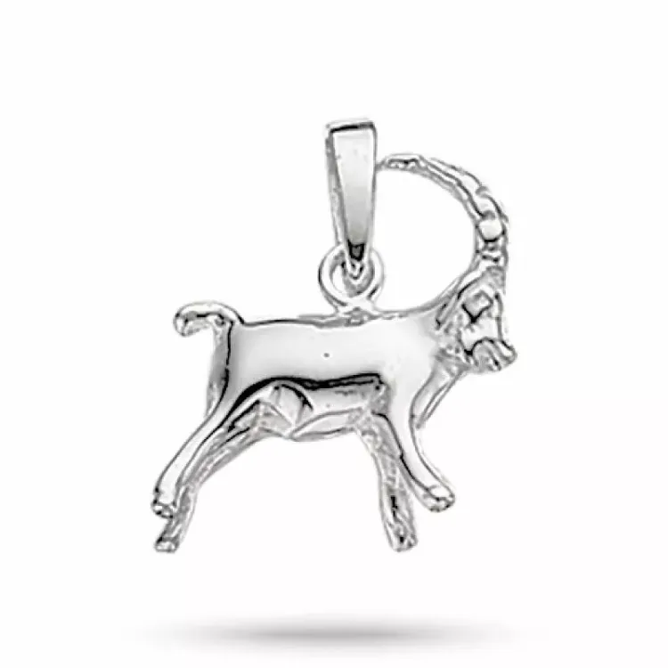 Scrouples stjärnteck stenbocken hängen i silver