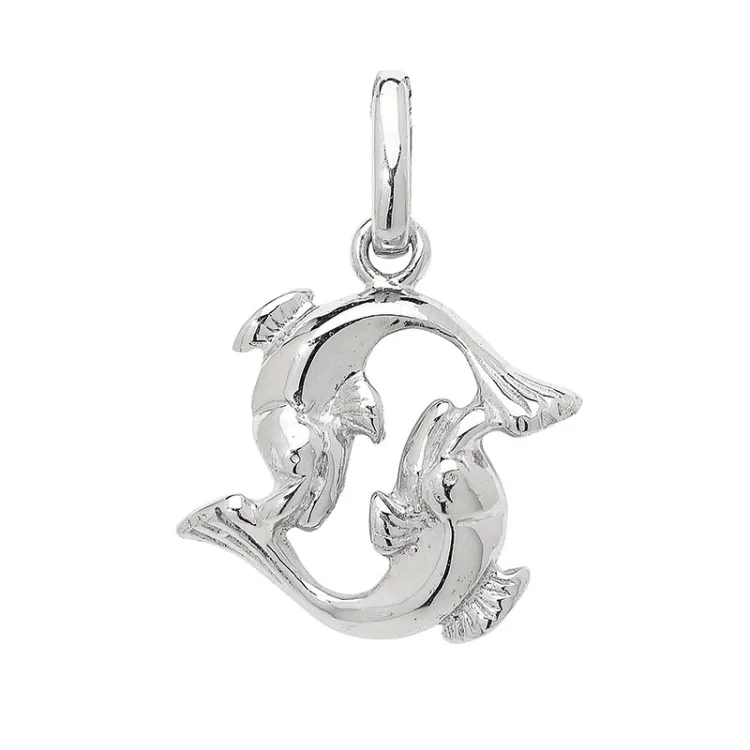 stjärnteck fisken hängen i silver
