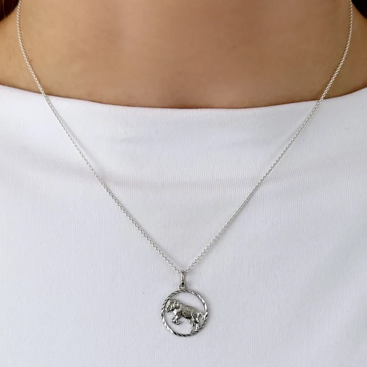 stjärnteck väduren hängen i silver