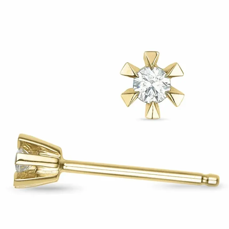 2 x 0,03 ct diamant solitäreörhängestift i 9 karat guld med diamant