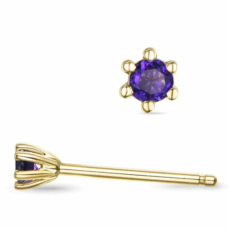 2 x 0,05 ct ametist solitäreörhängestift i 9 karat guld med ametist