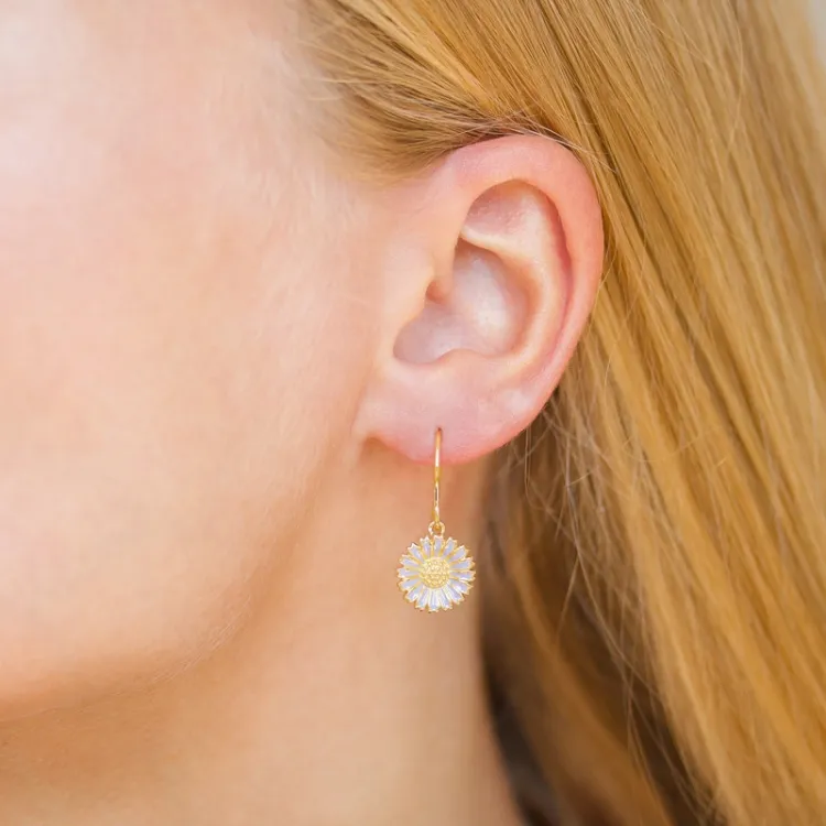 11,5 mm prästkrage lila örhängen i förgyllt silver - Marie