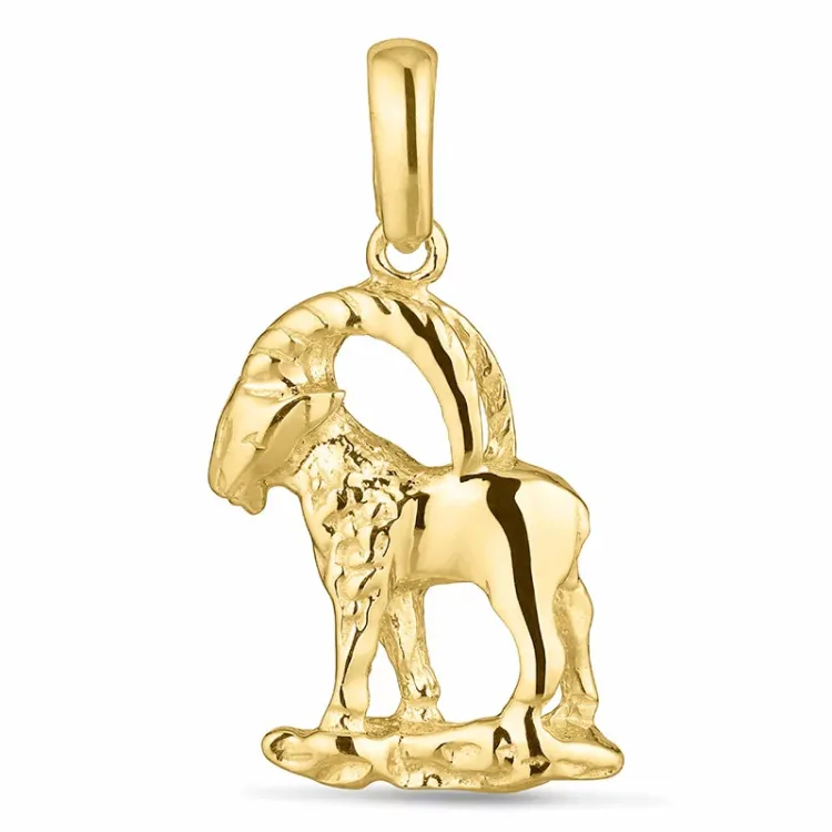 stjärnteck stenbocken hängen i 8 karat guld - Gold Collection