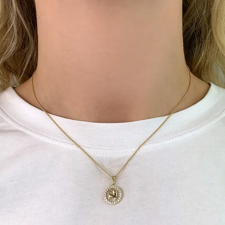 stjärnteck lejonet zirkon hängen i 8 karat guld - Gold Collection