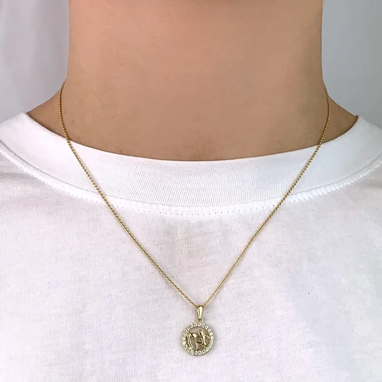 stjärnteck vattumannen zirkon hängen i 8 karat guld - Gold Collection