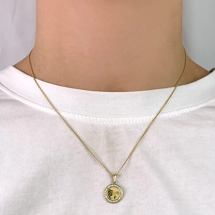 stjärnteck jungfrun zirkon hängen i 8 karat guld - Gold Collection