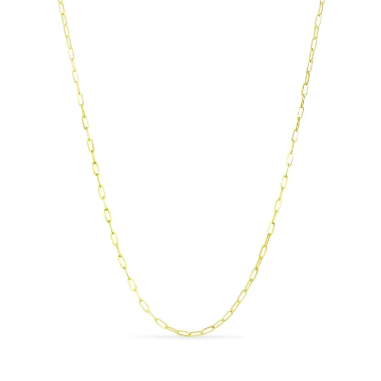 vattentät halsband i förgyllt stål 40 + 5 cm x 2,5 mm  - OCEANA