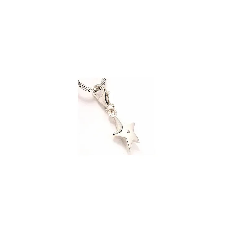 Silver charms till armband i silver 