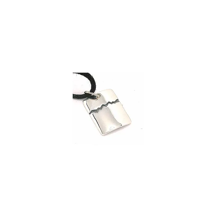 Fyrkantigt dogtag halsband i bomull med hängen i silver