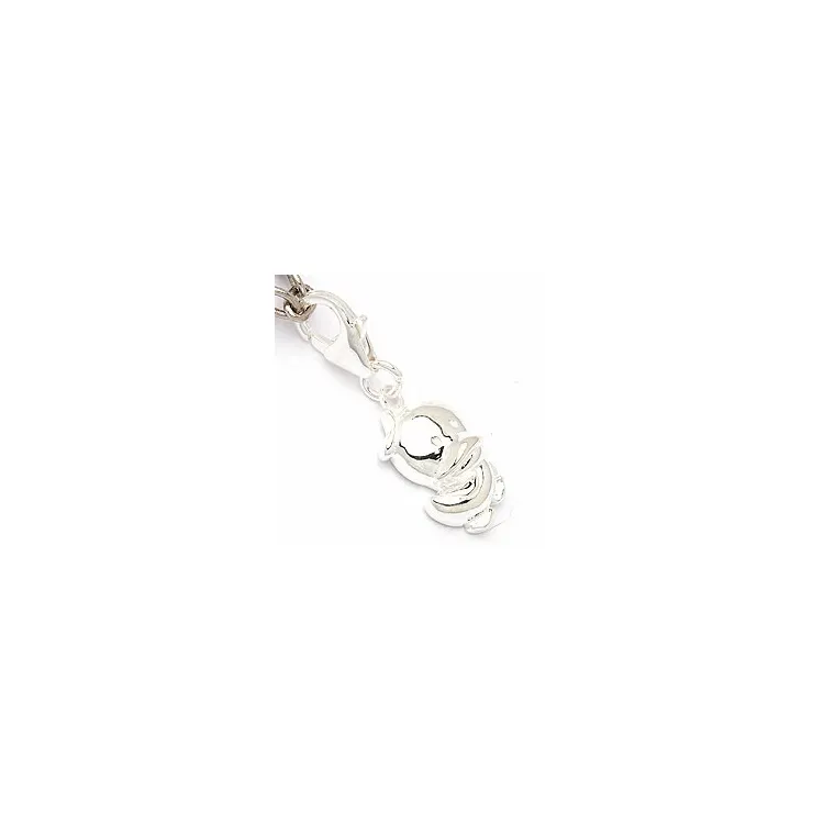 charm i silver 