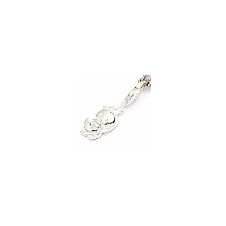 charm i silver 