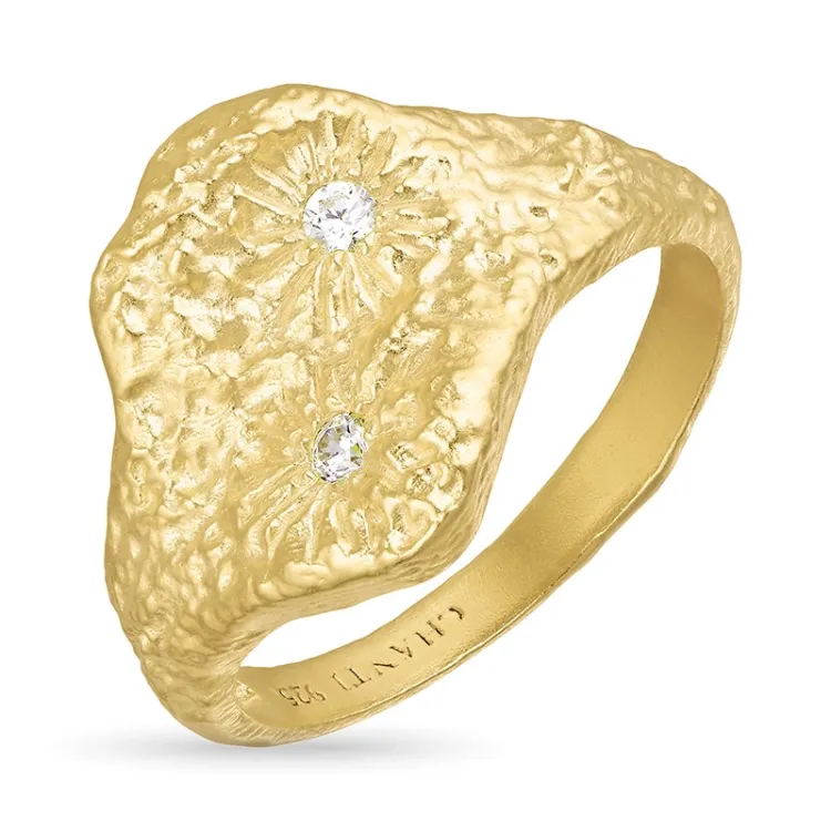 zirkon ring i förgyllt silver - Lumé Etched