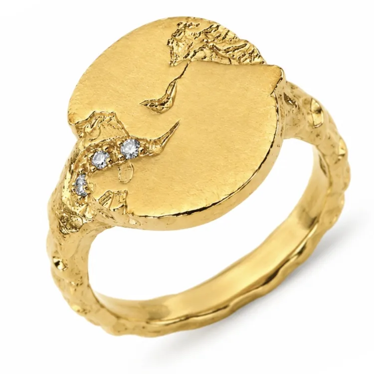 zirkon ring i förgylld mässing - Lumé Etched