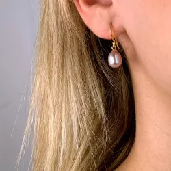 7-7,5 mm pärla örhängen i förgyllt silver
