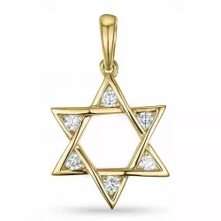 Davidsstjärna diamantberlocker i 14  carat guld- och vitguld 0,18 ct