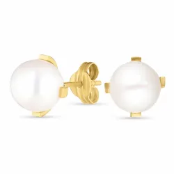 8,5 mm runda örhängen i 9 karat guld med  - Gold Collection